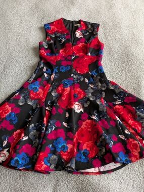 Boston Proper Black Floral Fit-and-Flare Dress with Red & Blue Blooms